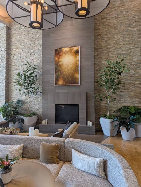 Sustainable Interior Plantscapes in Cupertino