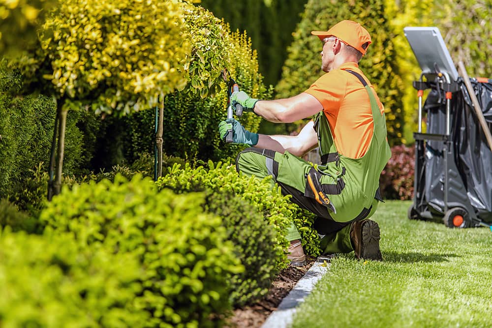 Residential Landscape Maintenance Marin County