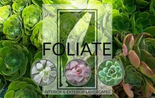 Official Foliate Notice: Protect Yourself from Impersonation